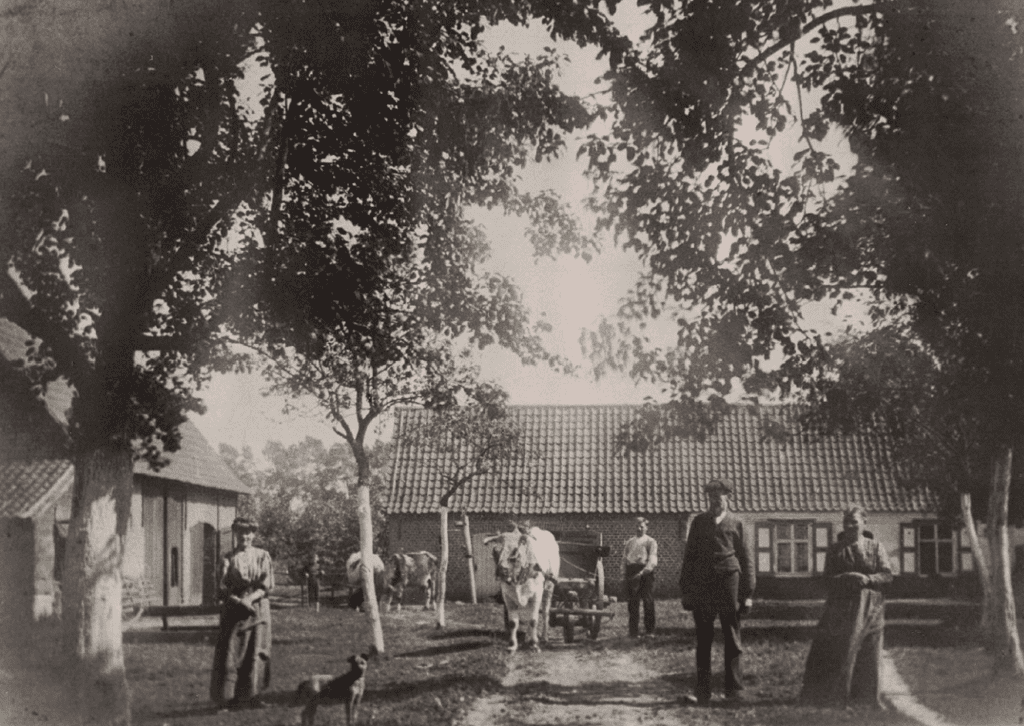boeren